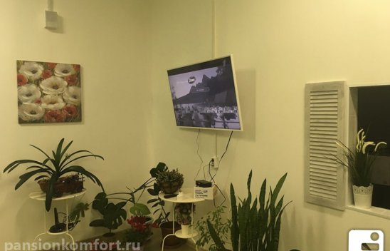 Пансионат Сестрорецк «Гармония» фото 8