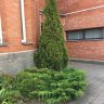 Дом престарелых «Бережные руки» Всеволожский фото 6